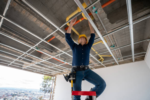 Best Local Plumber Services  in Naples, FL